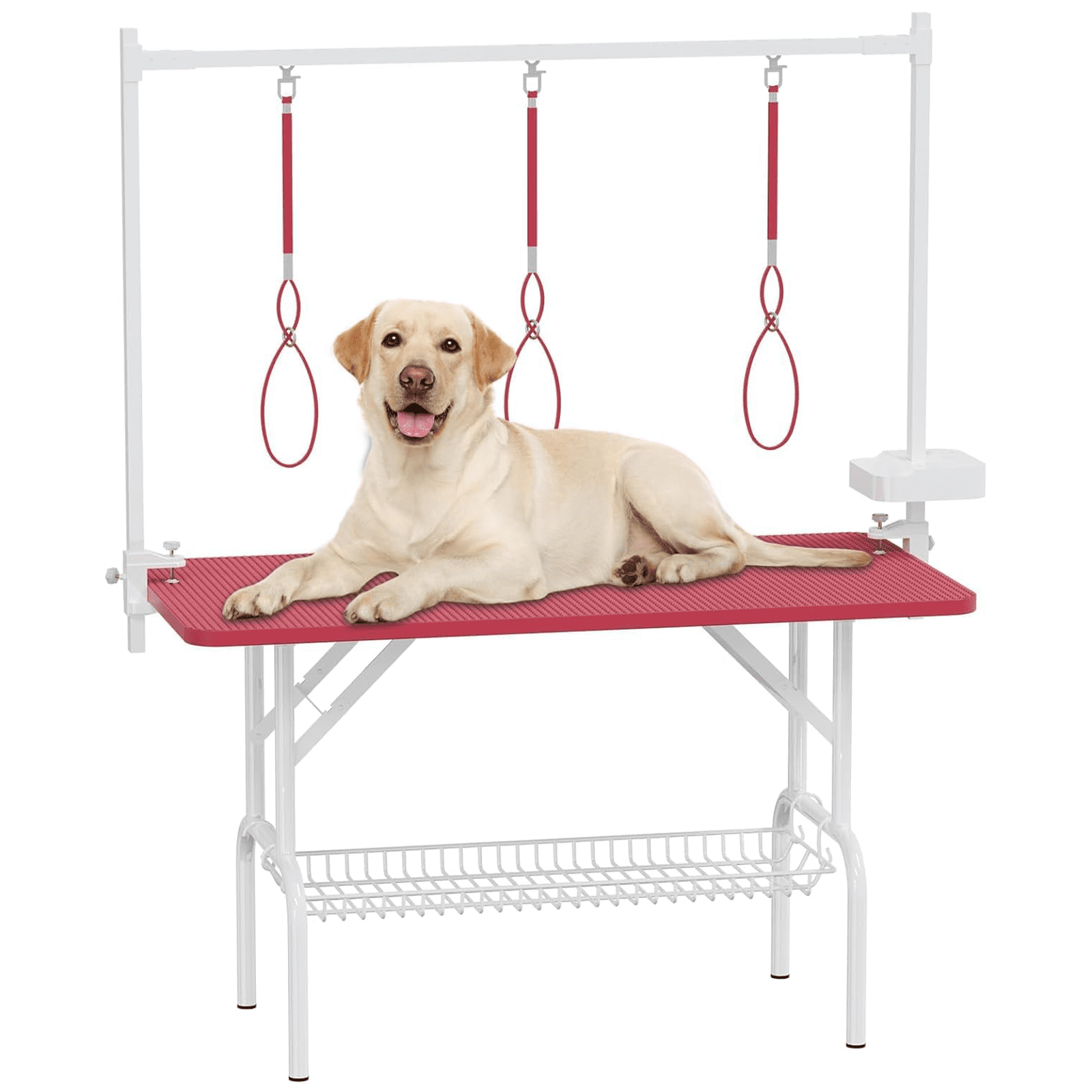 Photo inspiration: Visual Reference: Vacmaste 47In Large Dog Grooming Table Foldable Pet Station At