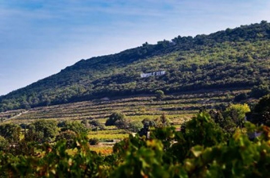 Vacqueyras Vineyards France Canvas Art - Per Karlsson DanitaDelimont (36 x 24)