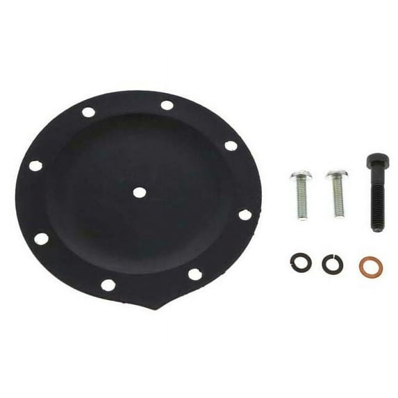 Vacuum Pump Repair Kit - Compatible with 1974 - 1983 Mercedes-Benz 240D 1975 1976 1977 1978 1979 1980 1981 1982