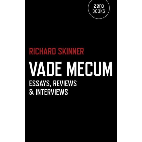 Vade Mecum : Essays, Reviews & Interviews (Paperback)