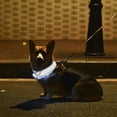 thumbnail image 1 of Vadktai LED Dog Collar, USB Rechargeable Light Up Dog Collar Lights, Adjustable Comfortable Soft Mesh Safety Dog Collar for Small, Medium, Large Dogs, 1 of 8