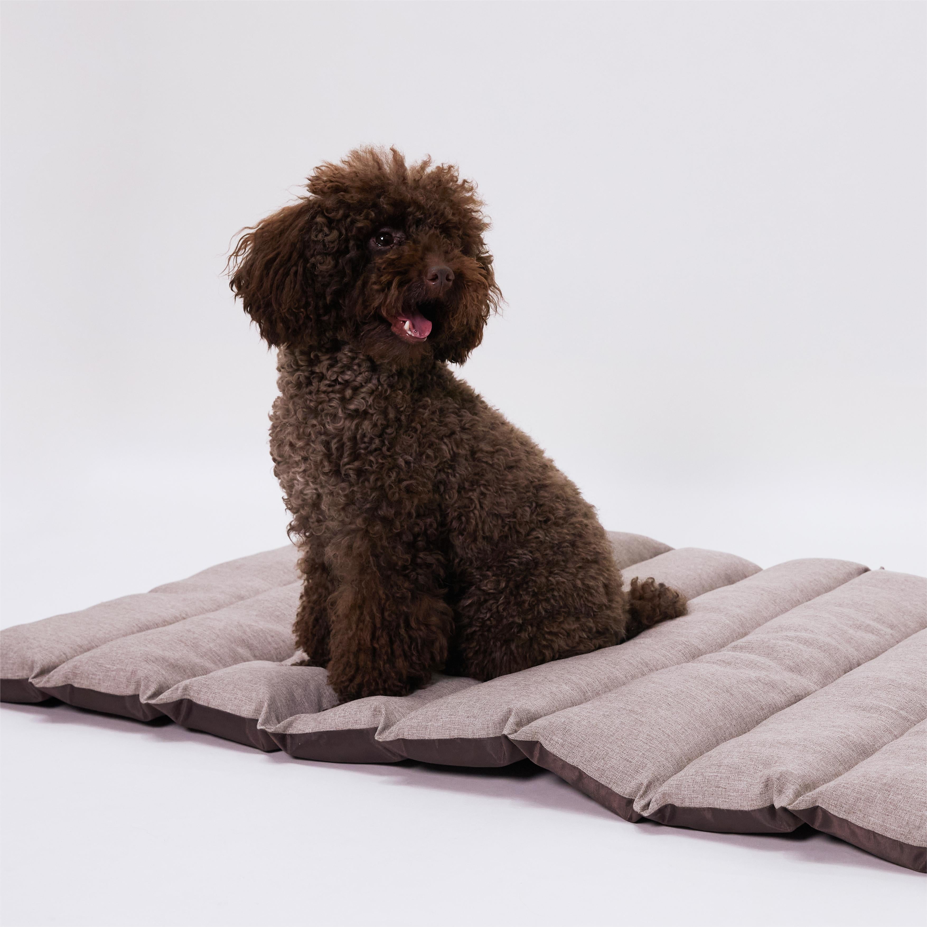Waterproof outdoor dog bed new arrivals
