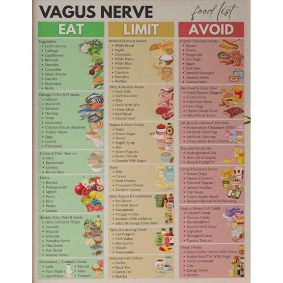 Vagus Nerve Food List Poster, Gut Healthy Diet, Stress Relieving Food Poster, Nervous System Support Poster, Parasympathetic Nerve Diet Poster, Gut Brain Axis Map Poster