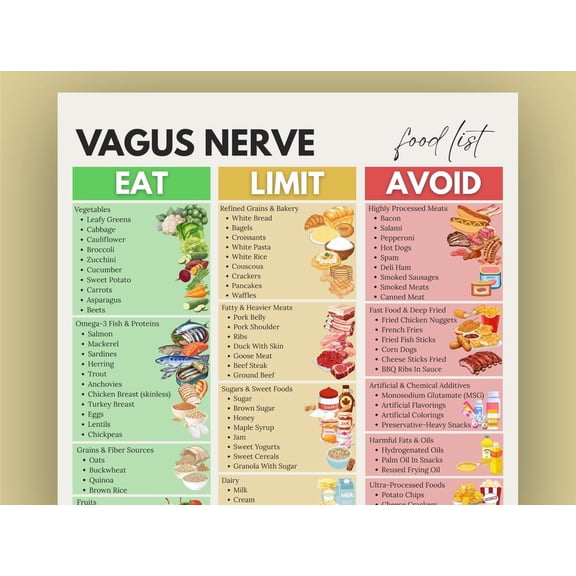 Vagus Nerve Food List Poster, Gut Healthy Diet, Stress Relieving Food Poster, Nervous System Support Poster, Parasympathetic Nerve Diet Poster, Gut Brain Axis Map Poster