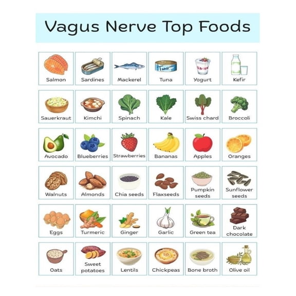 Vagus nerve food list poster, anti-inflammatory food list, vagus nerve grocery list poster, good brain axis support, nervous system healthy diet poster
