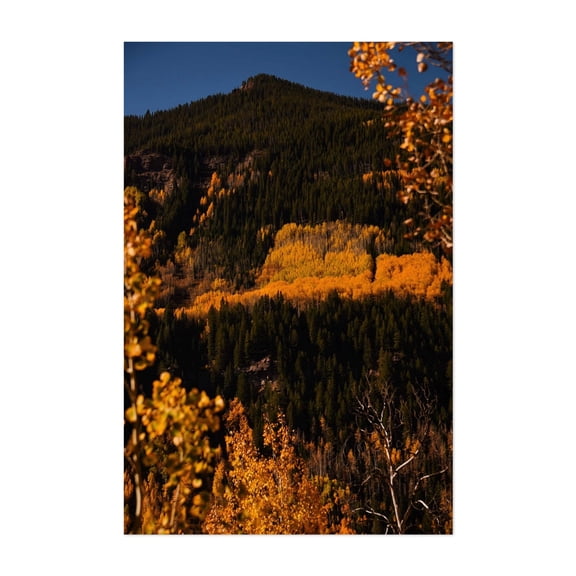 Vail Pass Hillside II - Vail Colorado Photography Autumn Forest Nature Mountain Landscape Wilderness Woodland Unframed Wall Art Print 5 x 7 inches