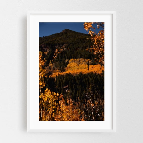 Vail Pass Hillside II - Vail Colorado Photography Autumn Forest Nature Mountain Landscape Wilderness Woodland White Framed Wall Art Print 5 x 7 inches