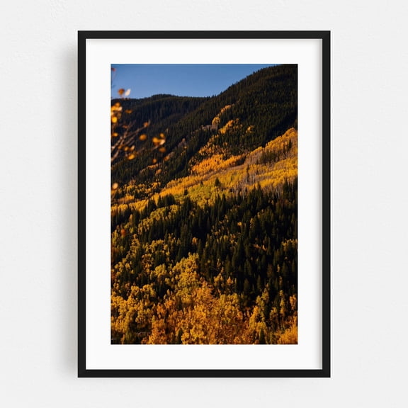 Vail Pass Hillside - Vail Colorado Photography Autumn Forest Nature Landscape Mountain Woods Scenic Black Framed Wall Art Print 5 x 7 inches