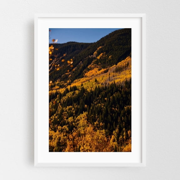Vail Pass Hillside - Vail Colorado Photography Autumn Forest Nature Landscape Mountain Woods Scenic White Framed Wall Art Print 5 x 7 inches