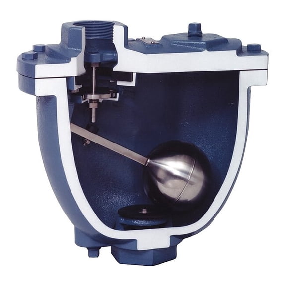 Val-Matic Valve Air Release and Vac,FNPT,2 x 2,CI 20C02-6CT-C6B5Y