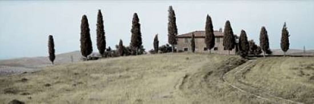 Val d?¢‚Ç¨‚Ñ¢Orcia Pano - 1 Canvas Art - Alan Blaustein (8 x 24)