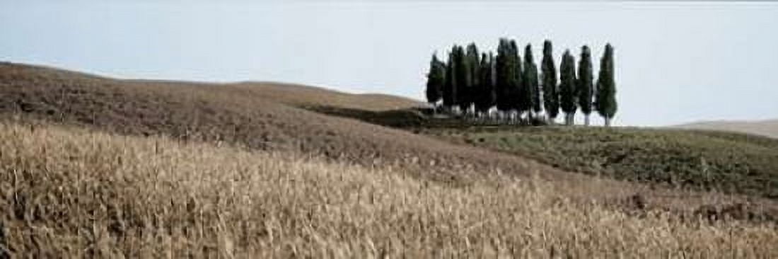 Val d?¢‚Ç¨‚Ñ¢Orcia Pano - 3 Canvas Art - Alan Blaustein (8 x 24)
