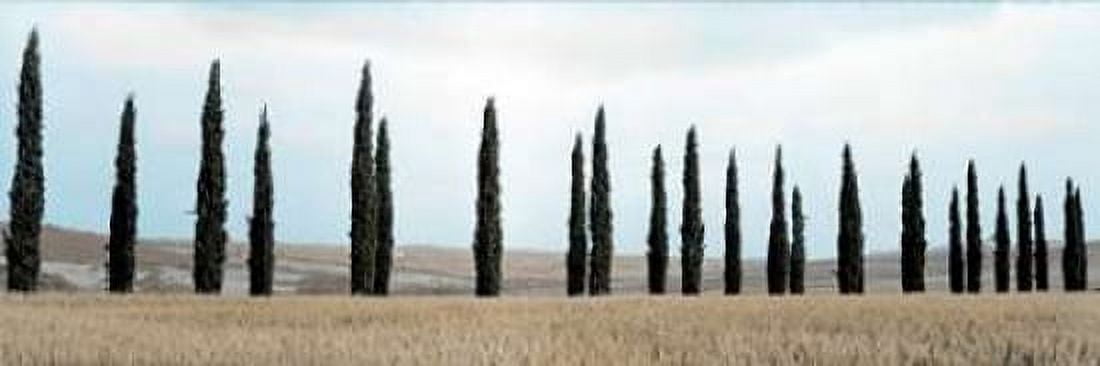 Val d?¢‚Ç¨‚Ñ¢Orcia Pano - 5 Canvas Art - Alan Blaustein (8 x 24)