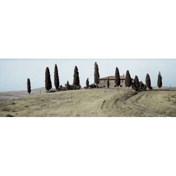 Val d �Orcia Pano - 1 Poster Print by Alan Blaustein (8 x 24)