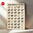 thumbnail image 1 of ValCoPo Horse Breeds of The World Poster – Educational Horse Chart – Equestrian Wall Art – Horse Lover Gift – Veterinary, Stable, Farm Decor, 1 of 3
