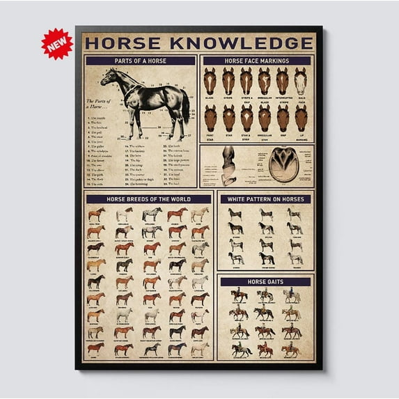 ValCoPo Horse Knowledge Poster, Vintage Educational Equine Chart, Equestrian Art for Barn, Stable, Home, Horse Lovers, Horse Anatomy Poster