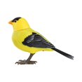 thumbnail image 2 of Talking Bird, Sound & Motion-Activated & Realistic Bird 2 of 11