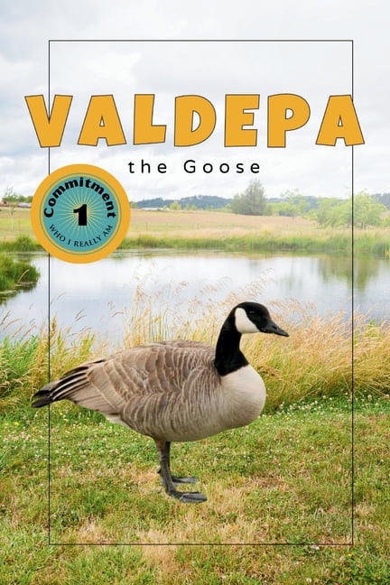 Explorer Valdepa the Canadian Goose, (Paperback)