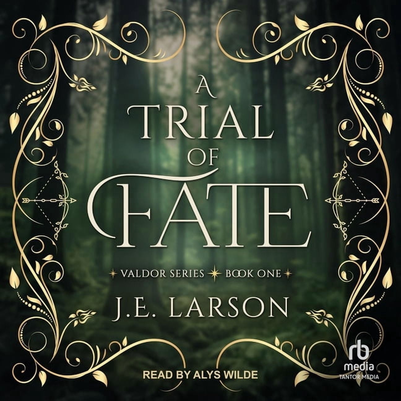 Valdor A Trial of Fate, Book 1, (Audiobook)