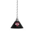 thumbnail image 1 of Valdosta State University Pendant Light with Chrome FIxture, 1 of 5