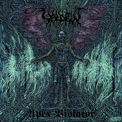 Valdrin - Apex Violator - Music & Performance - Vinyl