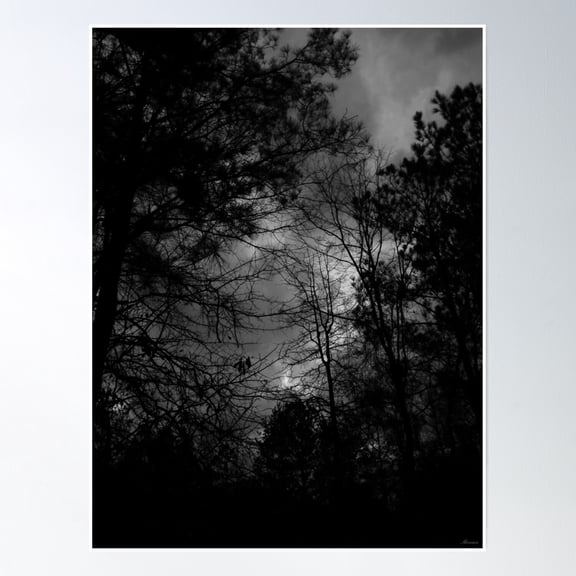 Vale Of Eldritch Darkness Poster Wall Art, Modern Wall Decor, 16x24 UNFRAMED