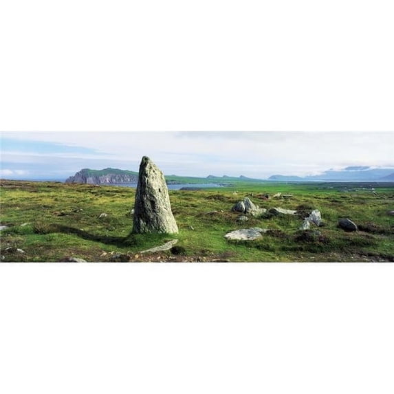 Vale of Clara Nature Reserve Co Wicklow Ireland Poster Print by The Irish Image Collection, 44 x 14 - Large
