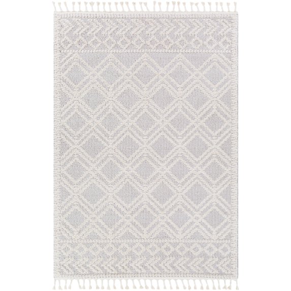Valencia Light Gray 2' x 3' Global Rectangle Area Rug