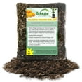 thumbnail image 1 of Valencia Orange Tree Growing Soil Mix  1 Quart - Custom Soil Blend  Potting Mix for Valencia Orange Trees  Specially Developed by and for Professional Nursery Growers - Nutrient-Rich Formula, 1 of 7