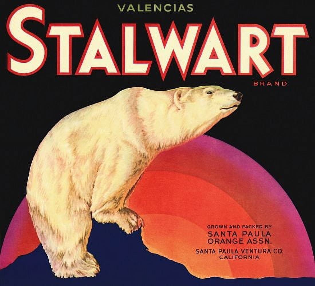 Valencias Stalwart Brand Polar Bear Canvas Art - (36 x 54)