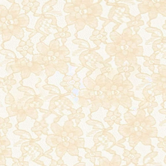 Valentina Textile Inc Raschel Lace Fabric 60" Wide Polyester French Floral by The Yard (1 Yard, Ivory)