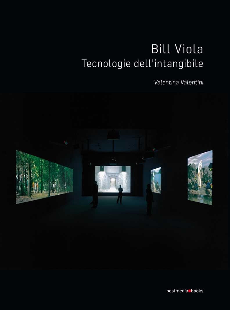 Valentina Valentini Bill Viola. Tecnologie dell’intangibile (Paperback)