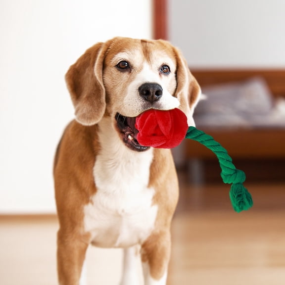 Valentine Dog Toys Rose Dog Toys, Valentine Treats for Dogs,Valentine Day Toy Squeaky Crinkle Plush Treat Puzzle Interactive Stuffed Chew for Small and Mediums Large Dogs, Red Dog Valentine,9.84 Inch