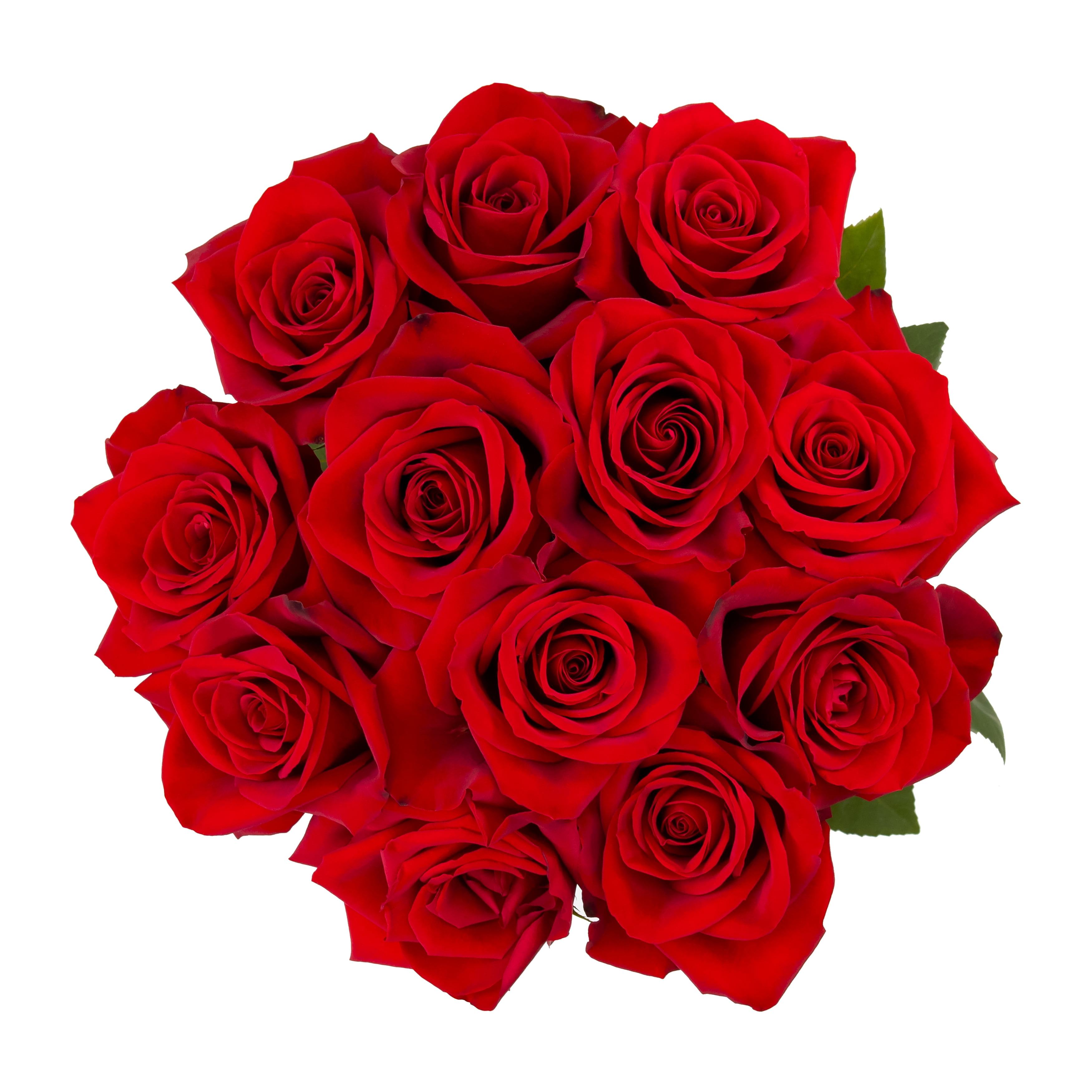 Valentine's Day Dozen Roses, FreshCut, 12 Stems, Colors Vary