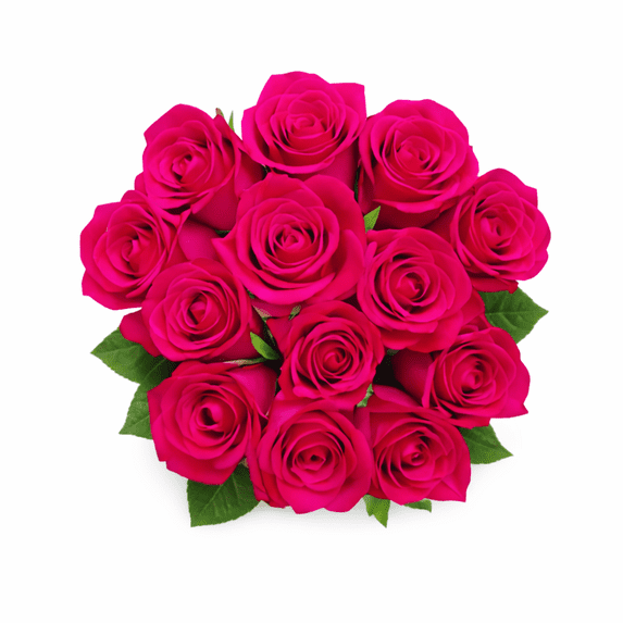 Valentine’s Day Assorted Dozen Roses