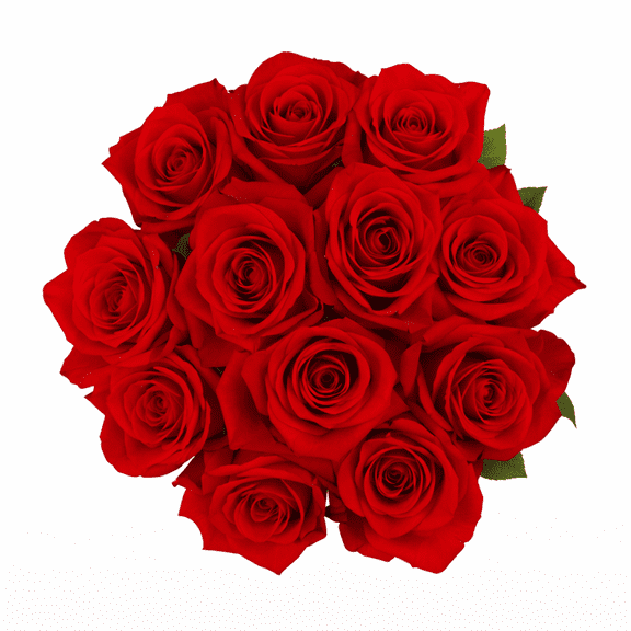 Valentines Day Assorted Dozen Roses