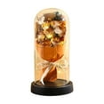 thumbnail image 1 of Valentine's Day Gift for Him/Her Rose Bouquet with LED Lights, Eternal Flowers in Glass Dome, Romantic Gift for Valentine's Day, Mother's Day, Anniversaries, Christmas, and Birthdays, 1 of 6