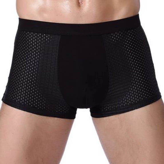 Valentine's Day Gifts for Him Meitianfacai Men's Underwear Fashion Ice Silk Panties Briefs Fashion Breathable Nylon Mesh Boxers Mens Boxer Briefs Black