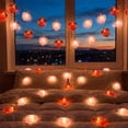 thumbnail image 1 of Valentine's Day Heart Decorations String Lights, LED Glitter Hearts Plug in Fairy Lights, Connectable Waterproof 10ft Two-Tone Heart, 1 of 10