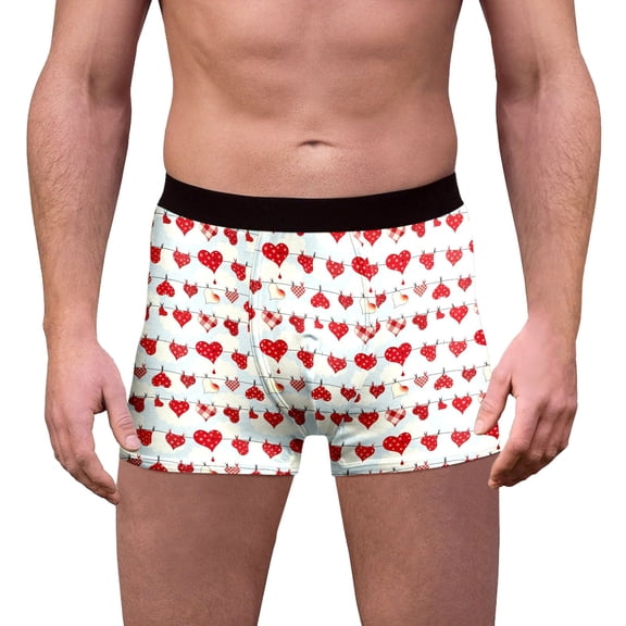 Valentine's Day Men's Funny Novelty Heart Underwear Boxer Briefs Breathable Multi Red XL
