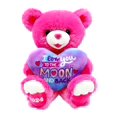 Valentine's Day Pink Sweetheart Teddy Bear Plush Toy, 15", by Way To