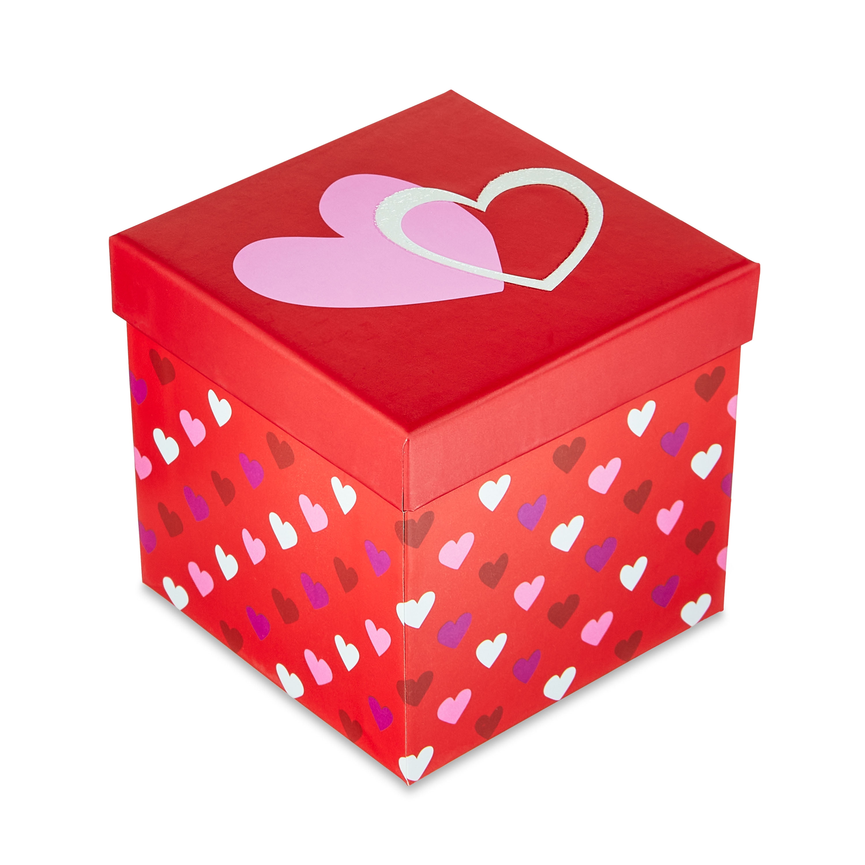 Valentine's Day Pretty in Pink Oblique + Nikko G Nib Bundle – The
