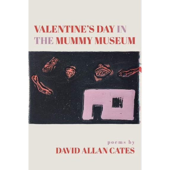 Pre-Owned Valentine's Day in the Mummy Museum Paperback