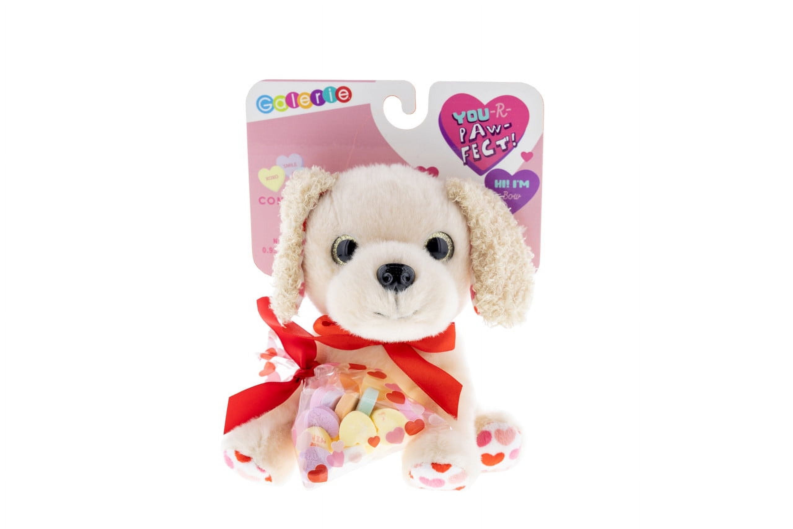 Valentine’s Galerie Dog Plush & Conversation Hearts The Perfect Pair