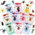 thumbnail image 1 of Valentine's Gifts for Kids Love Bug Butterfly Happy Valentine's Day Card for Kids Boys Girls DIY Valentine Exchange Cards for Boys Girls Toddler School Class Classroom Party Favors, 1 of 1