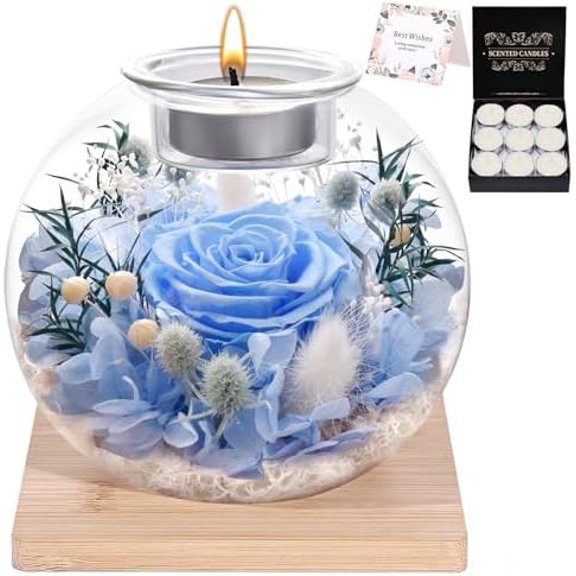 Valentines Birthday Gifts for Women Preserved Roses in Glass Dome with Scented - Romantic Preserved Flower for Women, Girlfriend, Wife, Mom, Grandma, Sister, Her-Blue