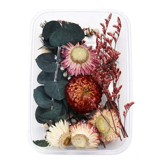 Valentines Day Gifts for Her, 1 Real Dried Flower Resin Fillings Expoxy Flower For Epoxy Resin Jewelry Making Craft DIY Supplies Accessories (Forget Me Not)