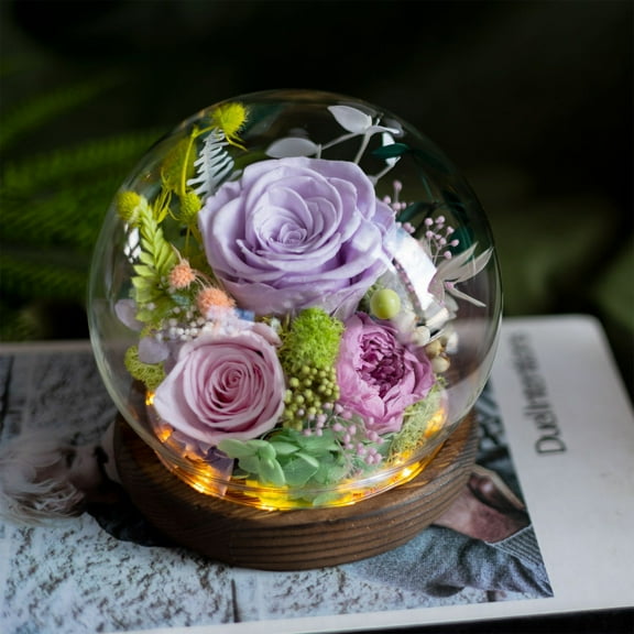 Valentines Day Gifts for Her Valentines Day Gifts Preserved Flowers Gifts for Women Valentines Gifts Preserved Flower Globe with Lights 6" for Valentines Day Home Decor Gift (Purple)