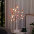 thumbnail image 1 of Valentines Day Love Tree Lamp with 50 LED Lights and 18Pcs Heart Ornaments,24inch Bonsai Artificial Christmas Tree Lights,Battery/USB Operated Night Lights for Tabletop Home Decor, 1 of 6