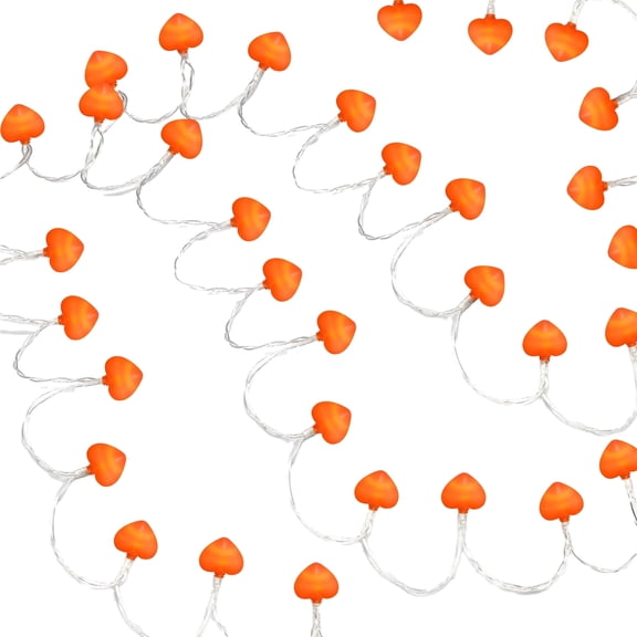 Heart String Lights with Rose Photo Clips, Battery Operated LED Lights for Romantic Wedding & Party Decor, 6ft 40 Lights – Indoor/Outdoor